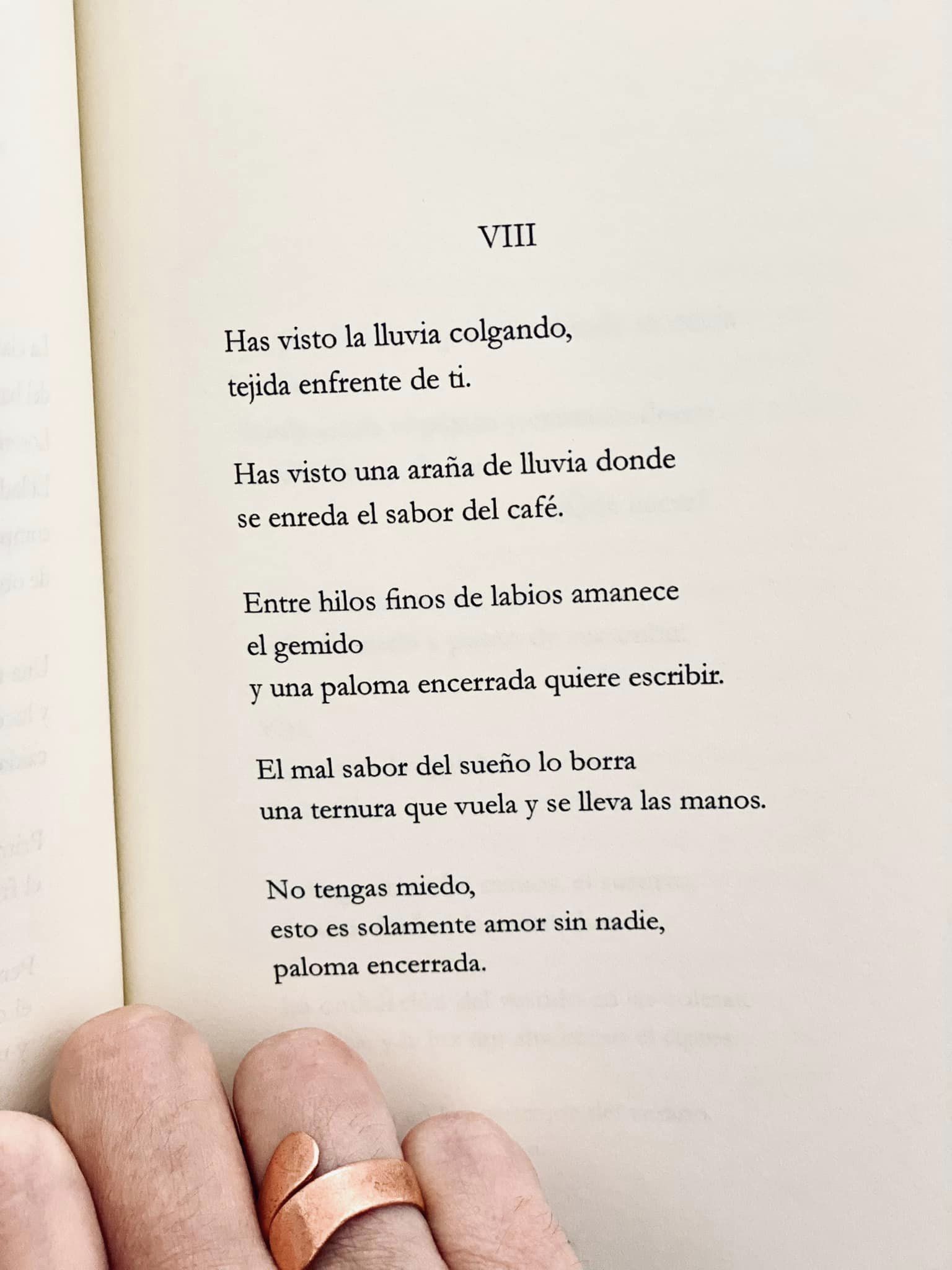 Poema VIII de "La oración de Narciso" (2023)
